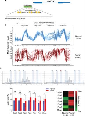 Restoring HOXD10 Exhibits Therapeutic Potential for Ameliorating Malignant Progression and 5-Fluorouracil Resistance in Colorectal Cancer